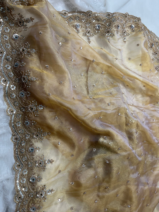 Aroopa Dual Tone Organza Tissue Saree with Sequins Border & Readymade Blouse