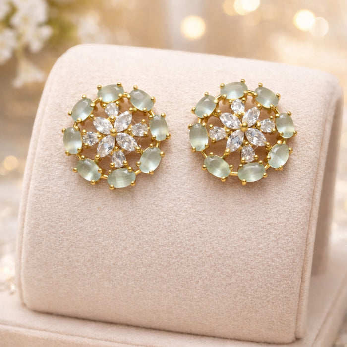 Aroopa Regal Stone Circular Studs