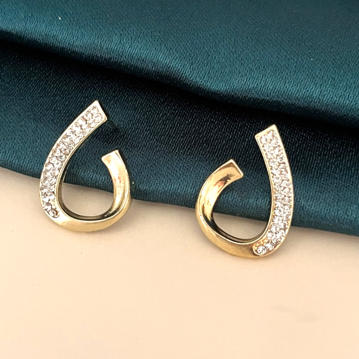Teardrop Hook Earring