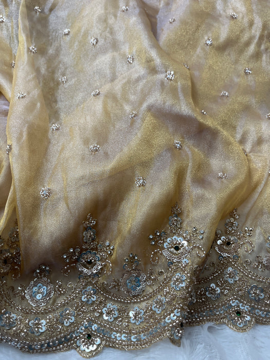 Aroopa Dual Tone Organza Tissue Saree with Sequins Border & Readymade Blouse