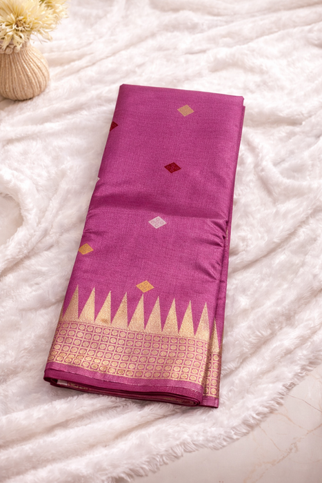 Aroopa Raw Silk Saree with Special Pallu