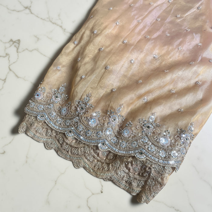 Aroopa Dual Tone Organza Tissue Saree with Sequins Border & Readymade Blouse